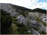 Planina Ravne - Kapelica na Molički planini